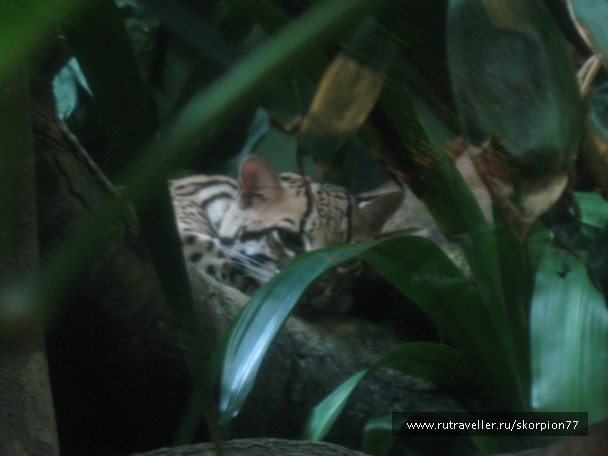 photo 869639