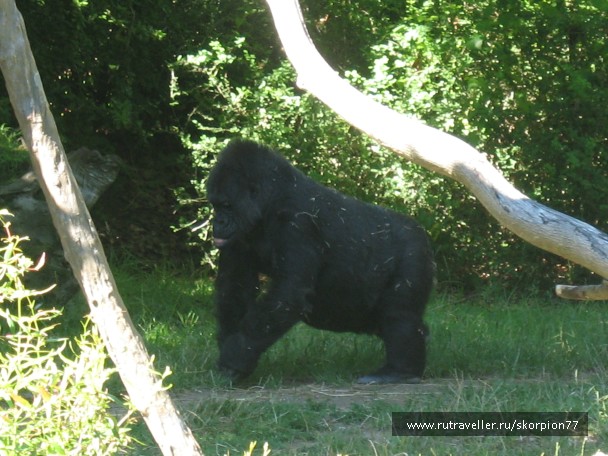 photo 869640