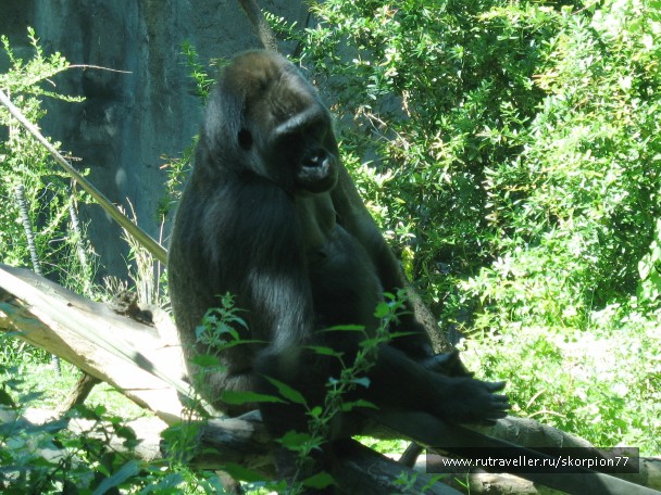 photo 869642