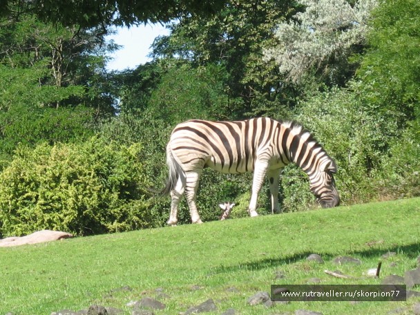 photo 869644
