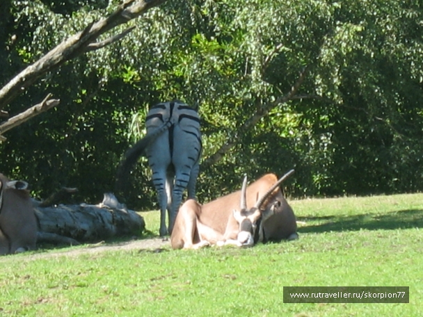 photo 869649