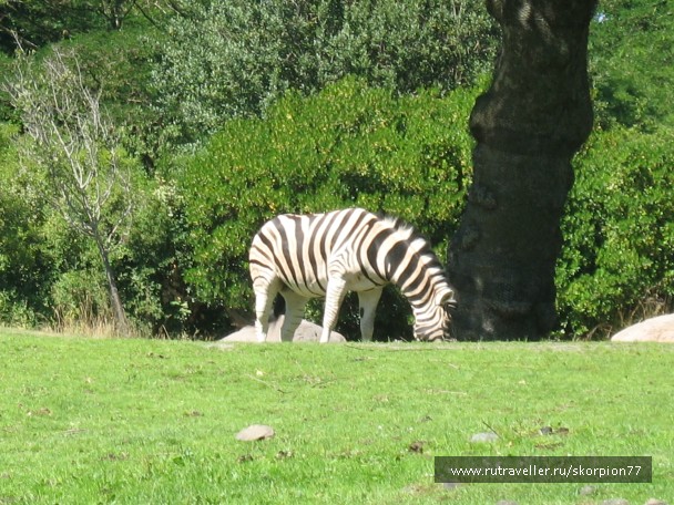photo 869650