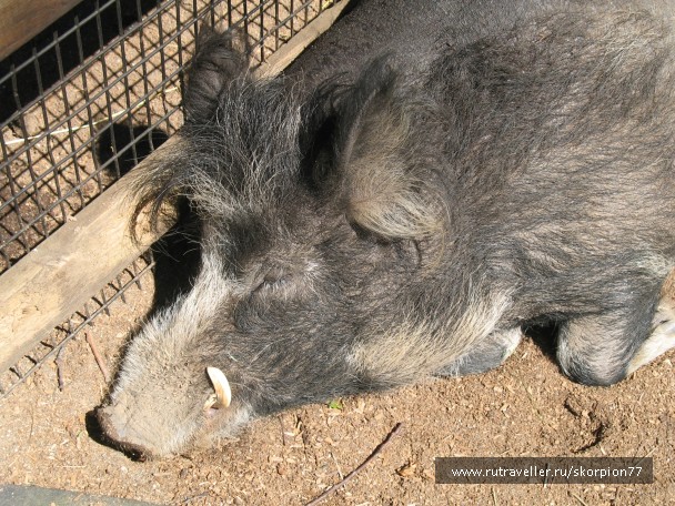photo 869652