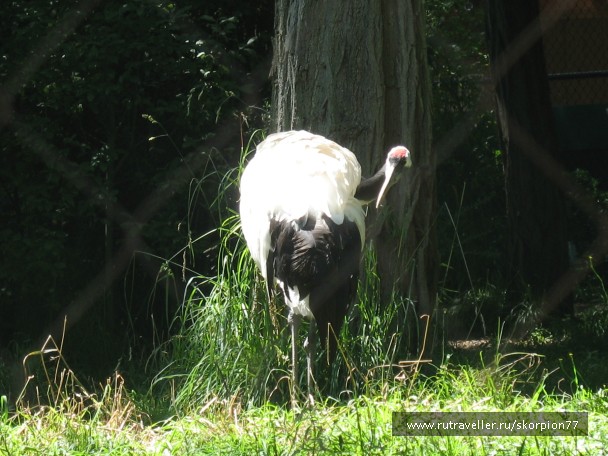 photo 869654