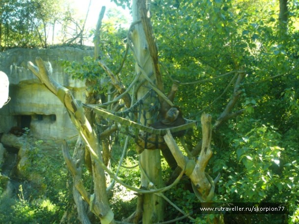 photo 869655