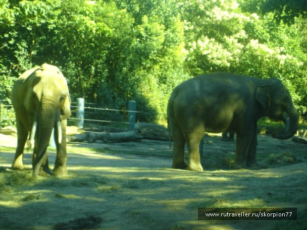 photo 869656