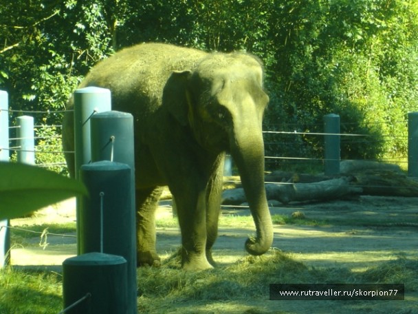 photo 869658