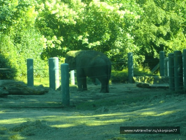 photo 869659
