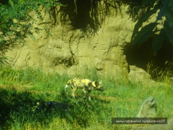 photo 869660