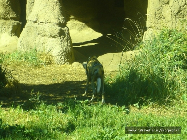 photo 869661