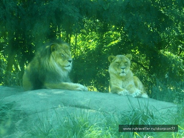 photo 869662