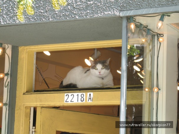 photo 869685