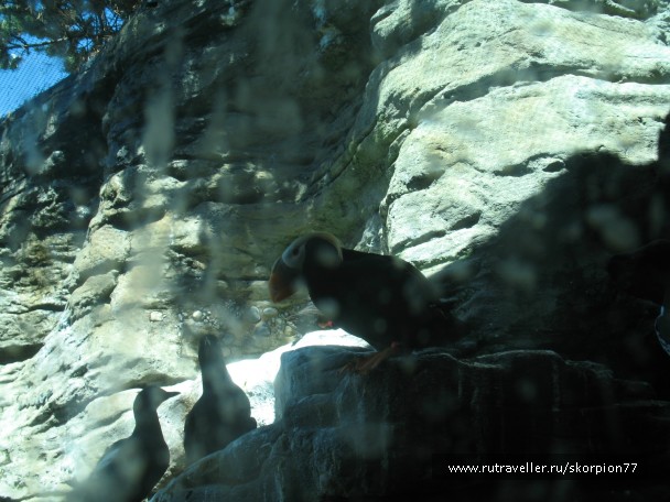 photo 869739