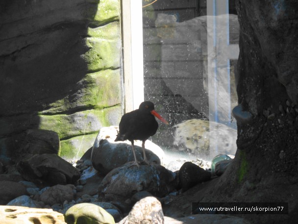 photo 869740