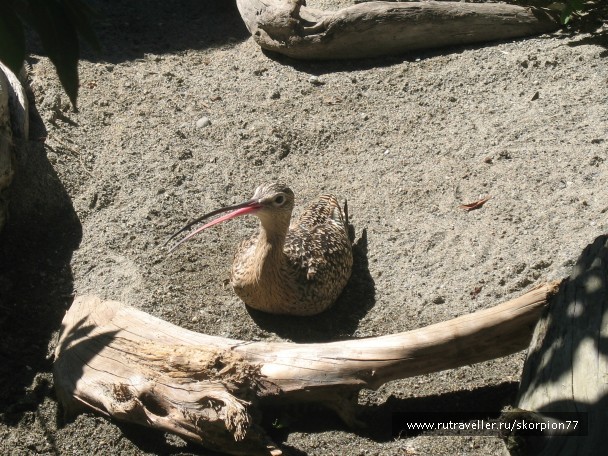photo 869741