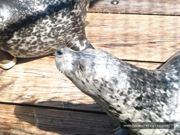 photo 869747