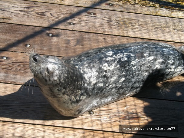 photo 869749
