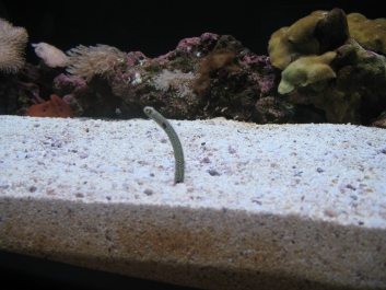 photo 869753