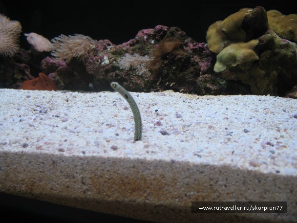photo 869753