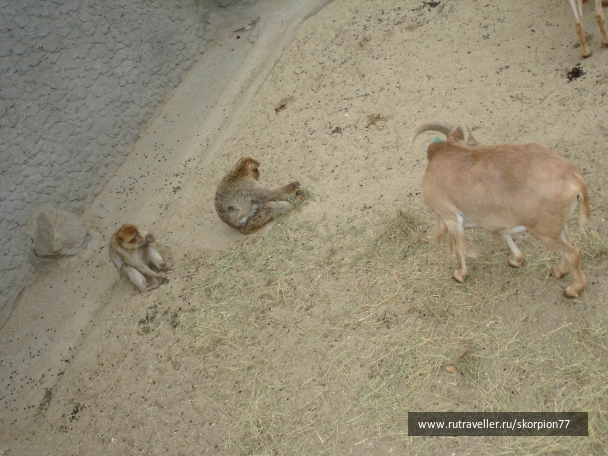 photo 885949