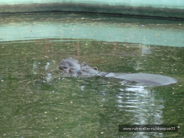 photo 885955