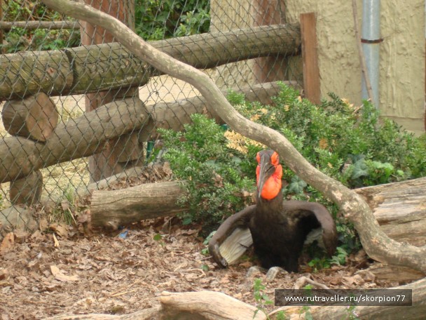 photo 885960
