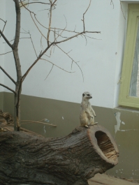 photo 885961