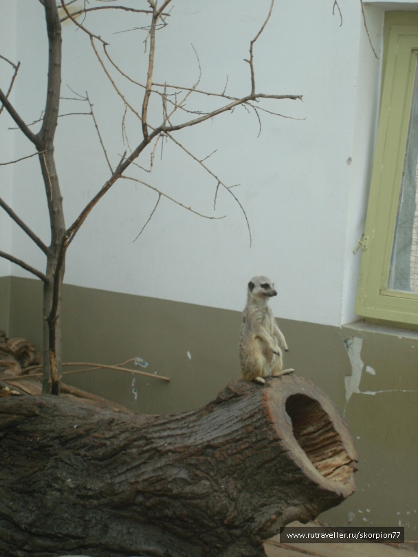 photo 885961