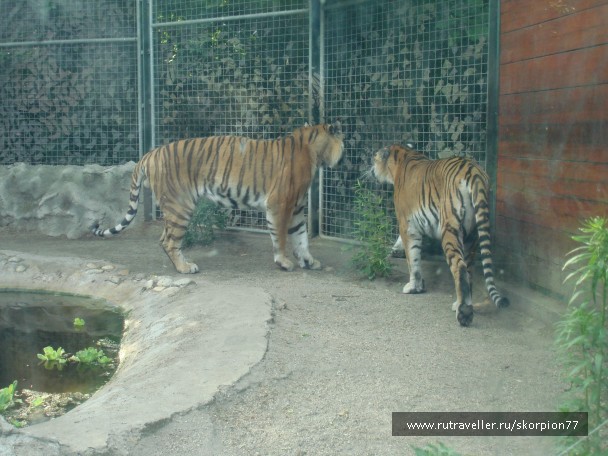photo 885962