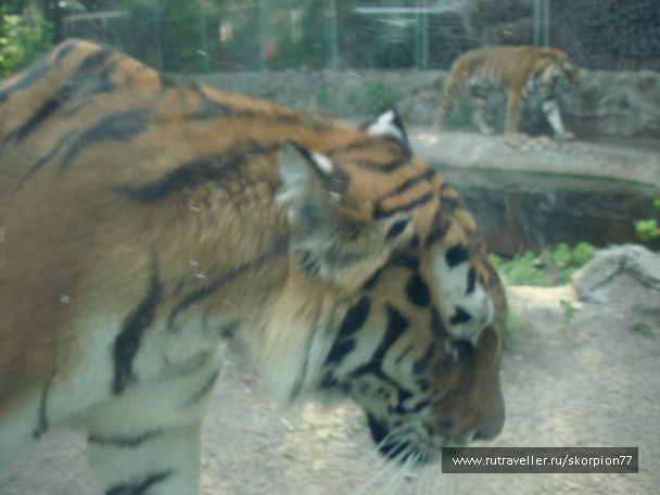 photo 885963
