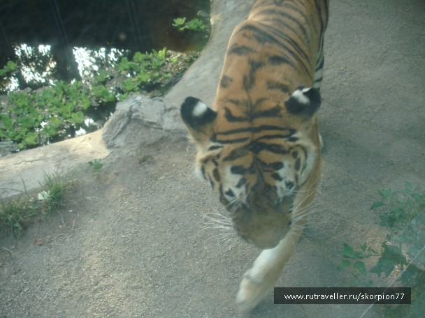 photo 885964