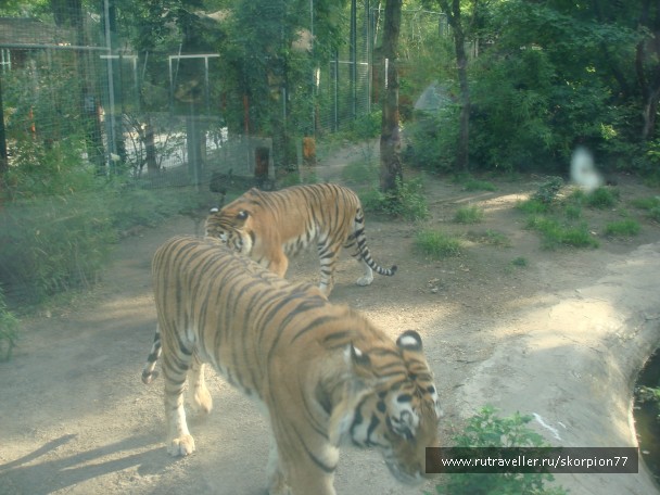 photo 885965