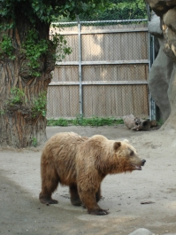 photo 885966