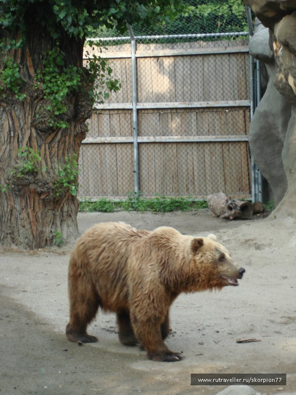 photo 885966