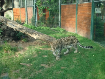 photo 885969