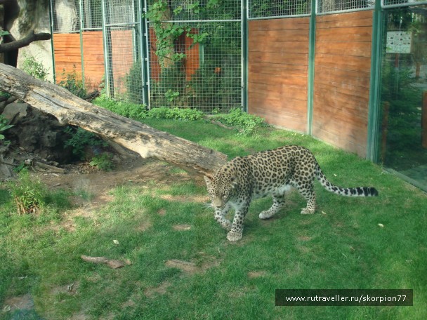 photo 885969