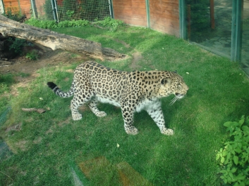 photo 885970