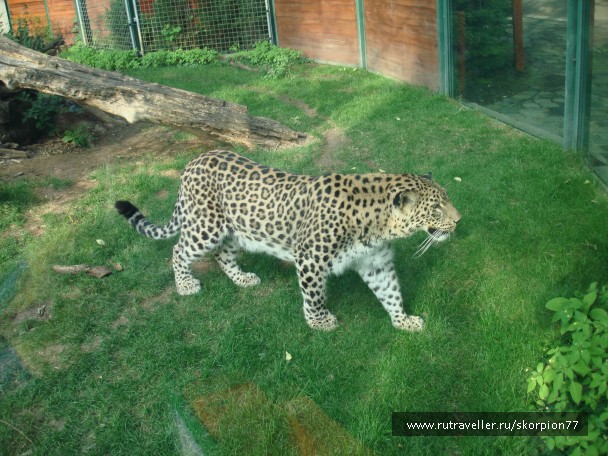 photo 885970