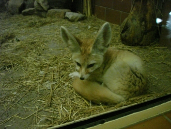 photo 885971
