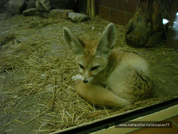 photo 885971