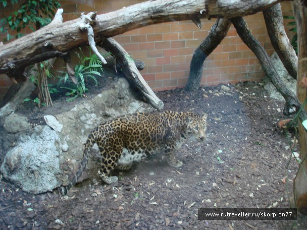 photo 885972