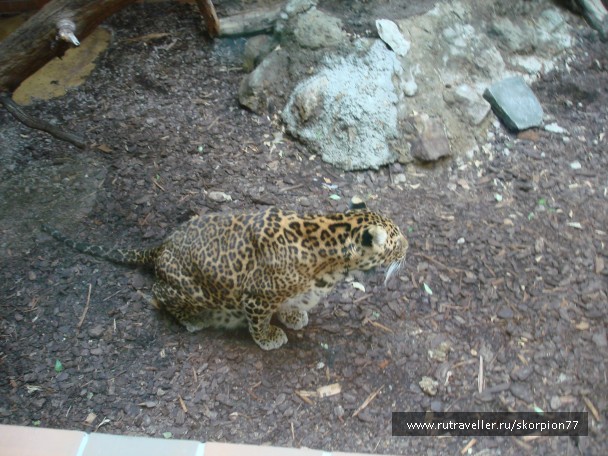 photo 885973