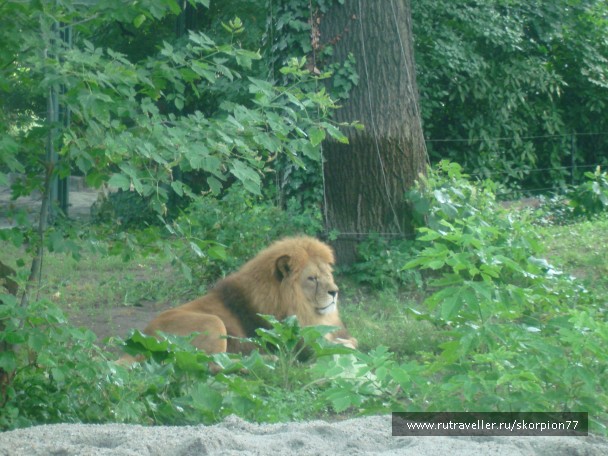 photo 885976