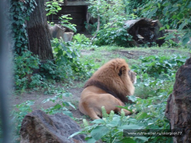 photo 885977