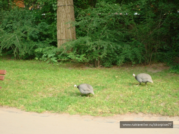 photo 885978