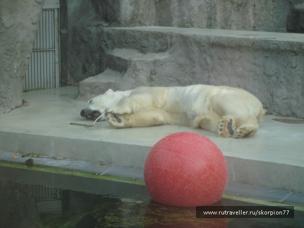 photo 885980