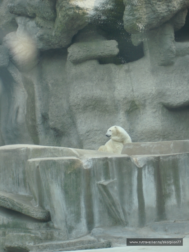 photo 885981