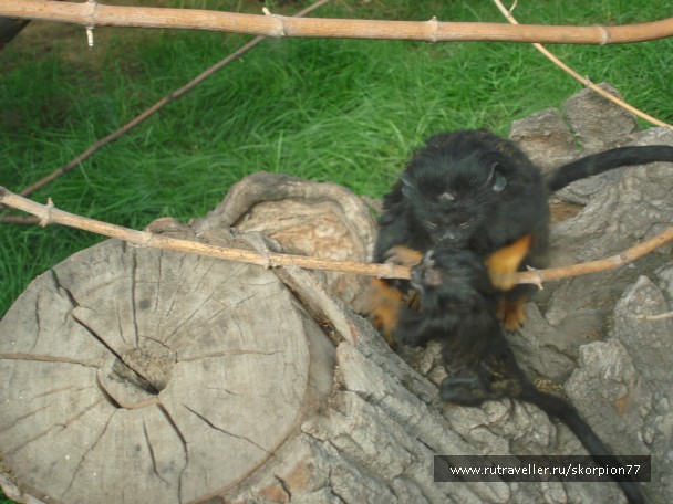 photo 885984