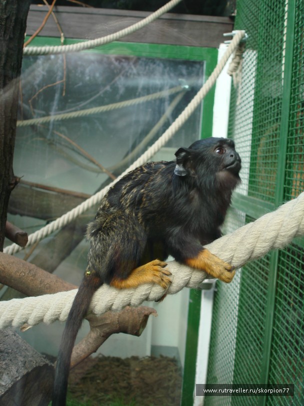 photo 885985