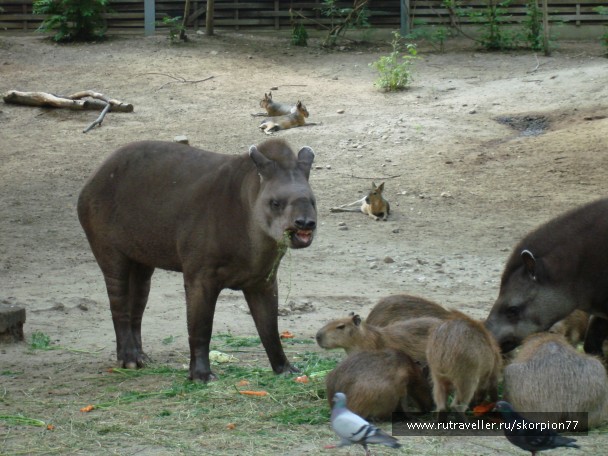 photo 885991